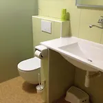 Zelena Zahrada Homestay Kladenske Rovne
